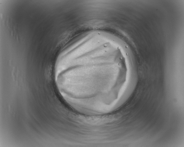 X0000063530018200602102029