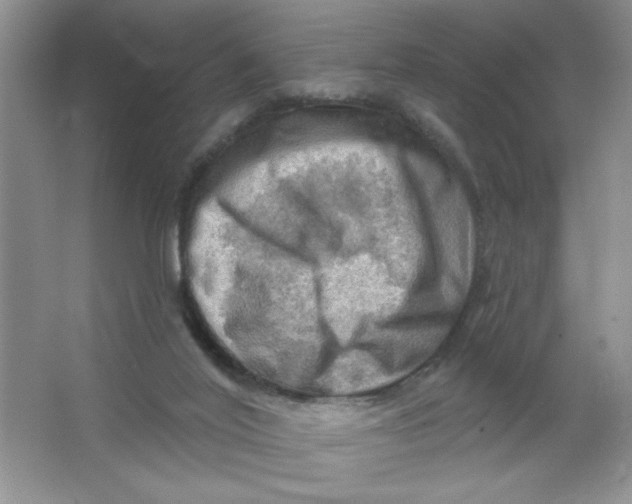 X0000063530020200602102029