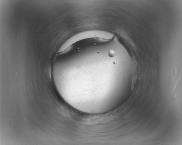 X0000063530021200602102029