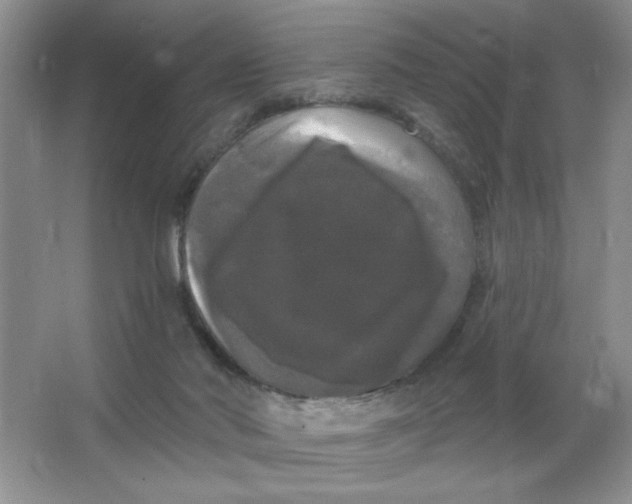 X0000063530022200602102029