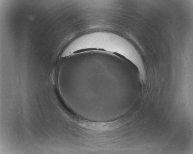 X0000063530023200602102029