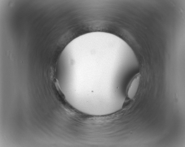 X0000063530025200602102029