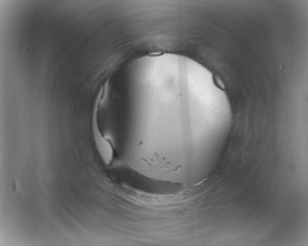 X0000063530027200602102029