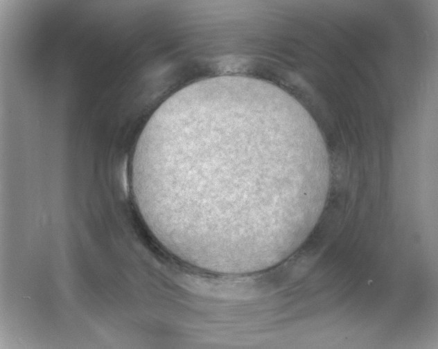 X0000063530028200602102029