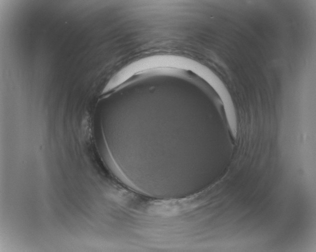 X0000063530029200602102029