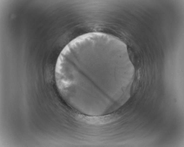 X0000063530030200602102029