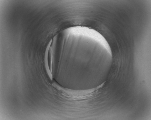 X0000063530031200602102029