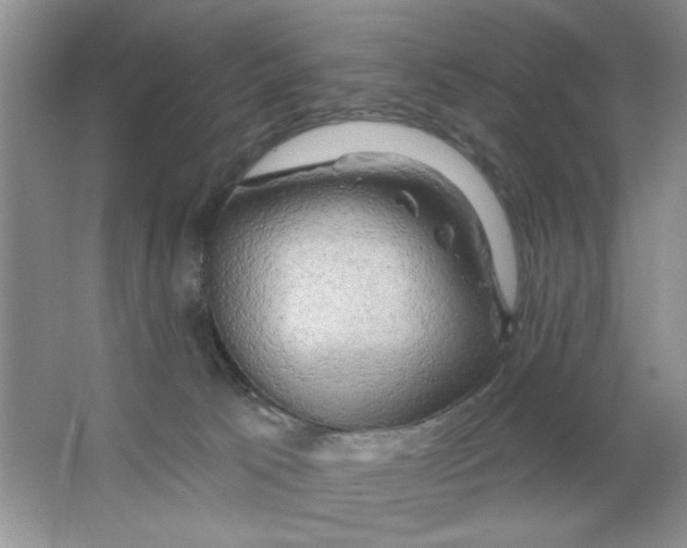 X0000063530033200602102029