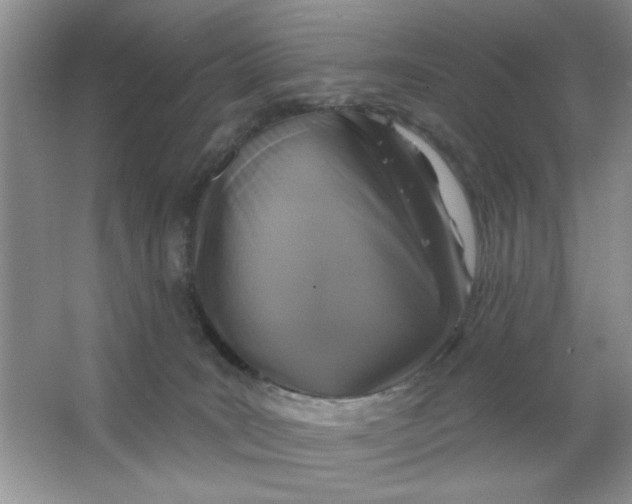 X0000063530035200602102029