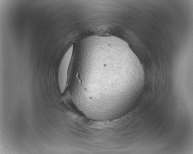 X0000063530037200602102029