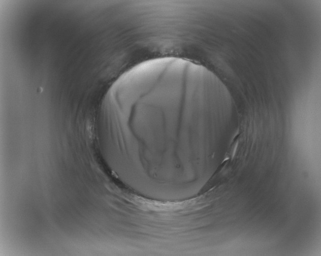 X0000063530039200602102029