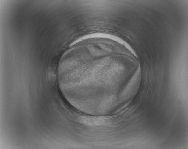 X0000063530040200602102029