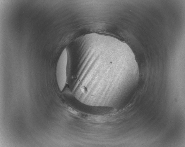 X0000063530041200602102029