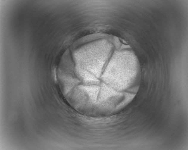 X0000063530042200602102029