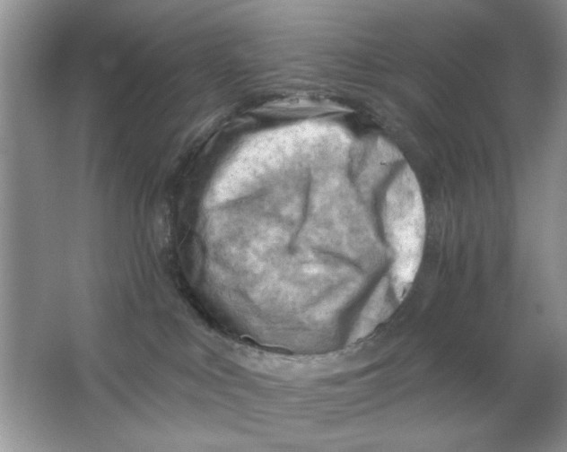 X0000063530043200602102029