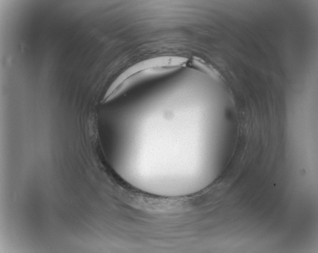 X0000063530044200602102029