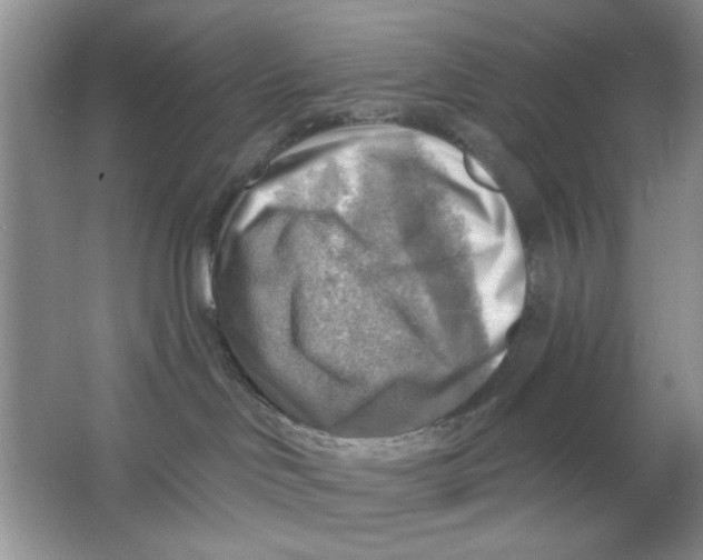 X0000063530046200602102029