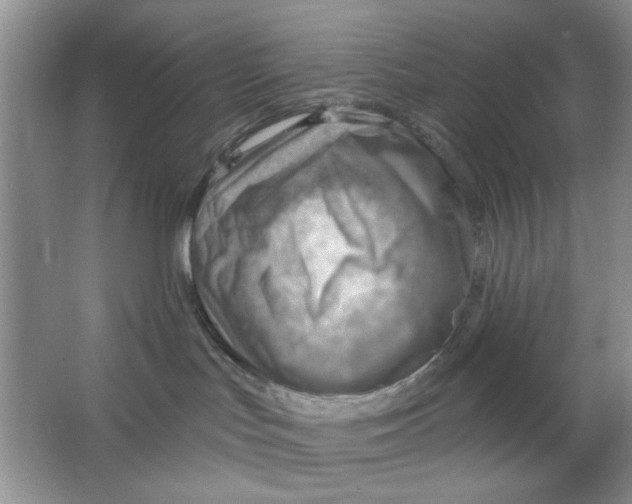 X0000063530047200602102029