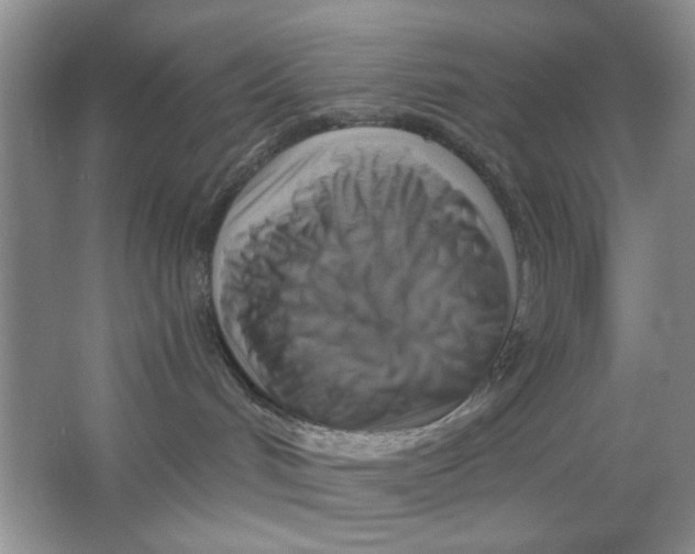 X0000063530048200602102029