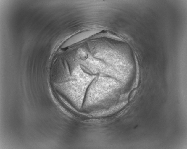 X0000063530049200602102028