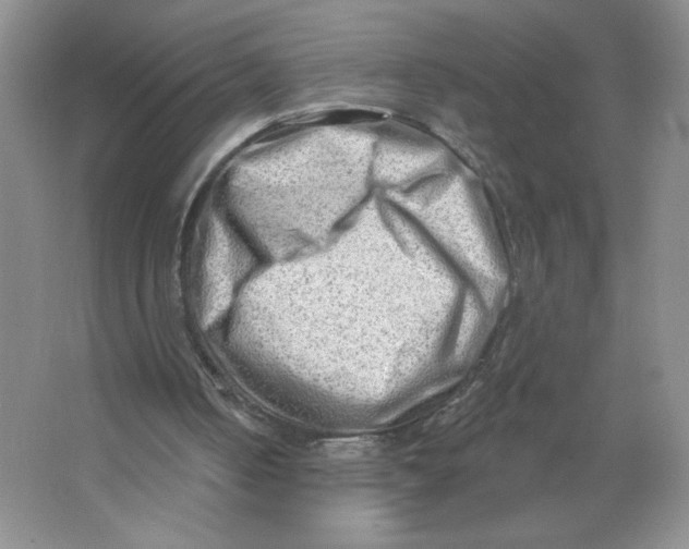 X0000063530050200602102028