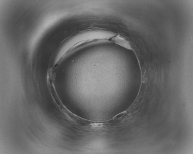 X0000063530052200602102028