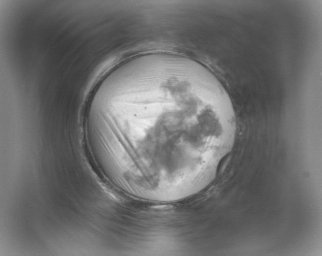 X0000063530053200602102028