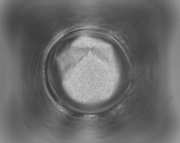 X0000063530055200602102028