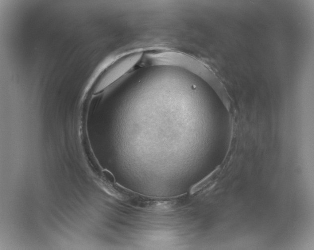 X0000063530056200602102028