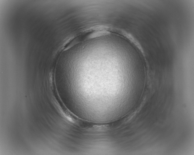 X0000063530057200602102028