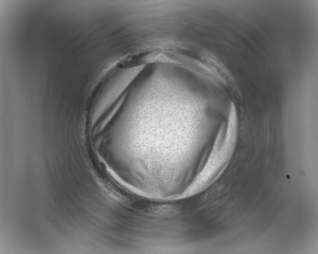 X0000063530058200602102028