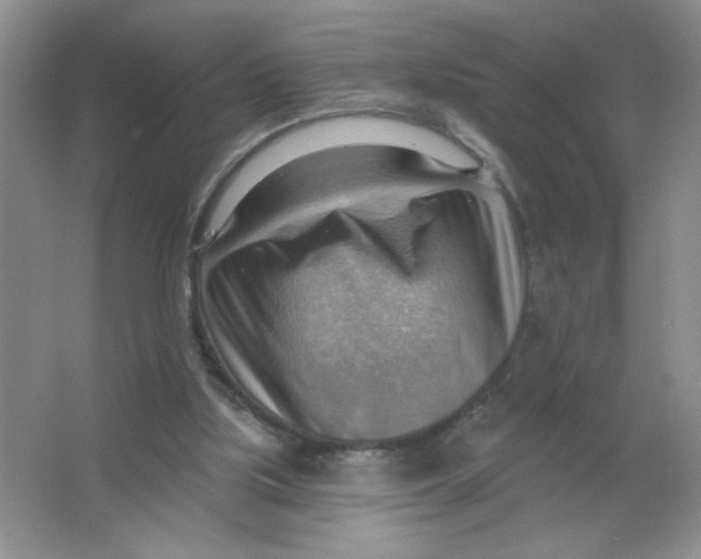 X0000063530059200602102028