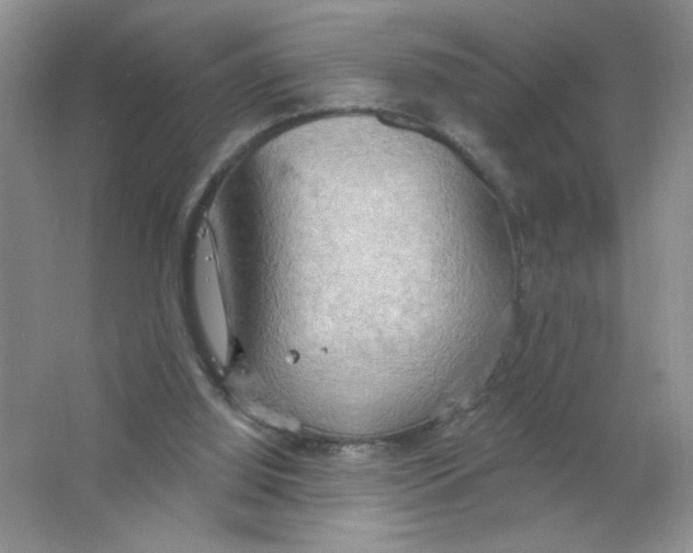 X0000063530060200602102028