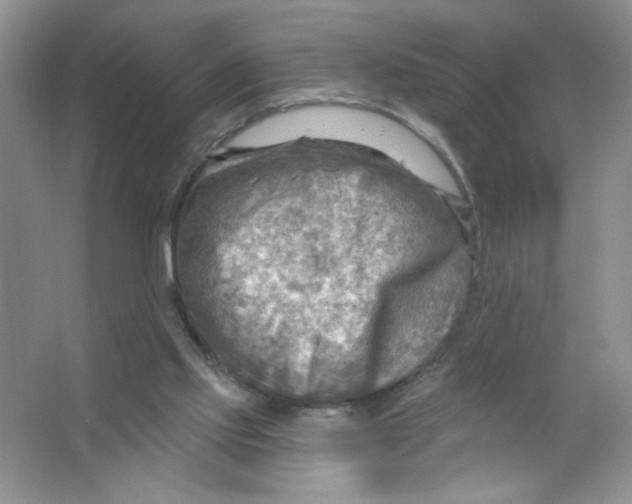 X0000063530061200602102028