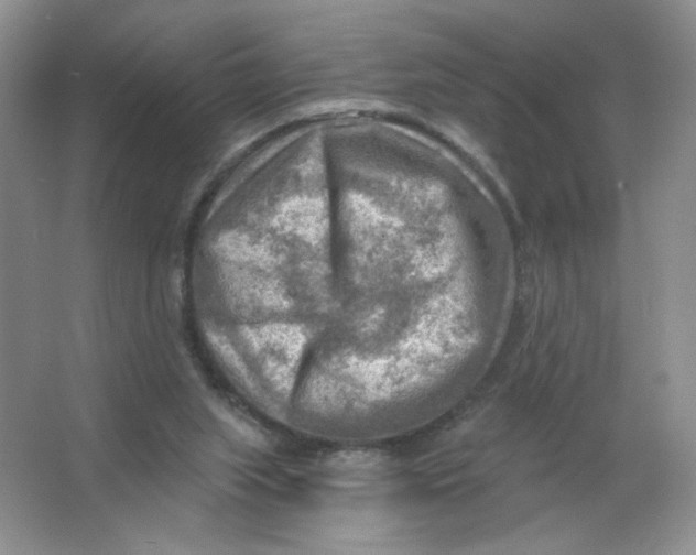 X0000063530063200602102028