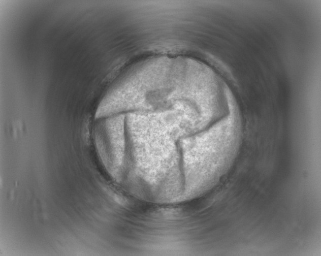 X0000063530065200602102028