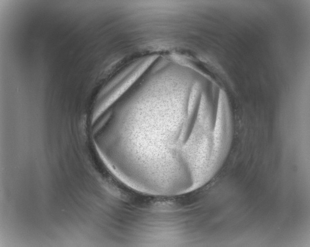 X0000063530066200602102028