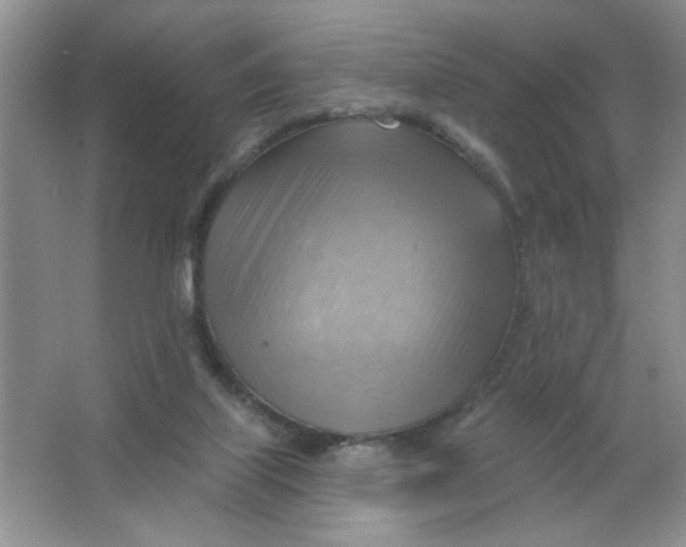 X0000063530067200602102028