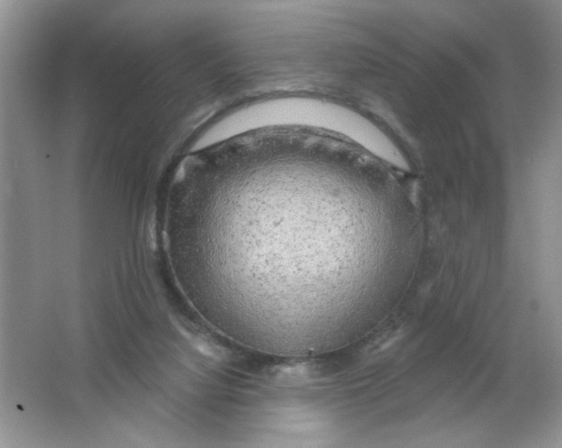 X0000063530068200602102028