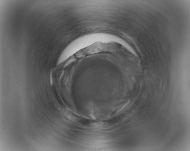 X0000063530069200602102028