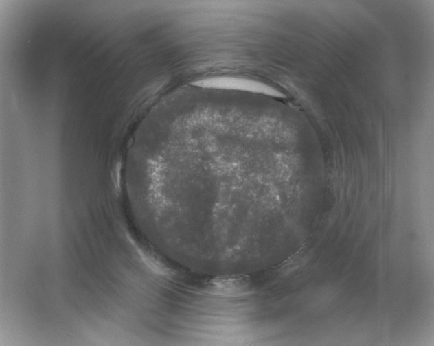 X0000063530070200602102028