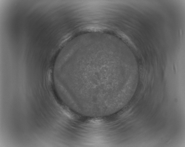 X0000063530071200602102028