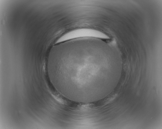 X0000063530072200602102028