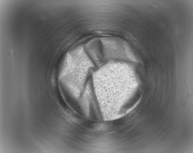 X0000063530074200602102028