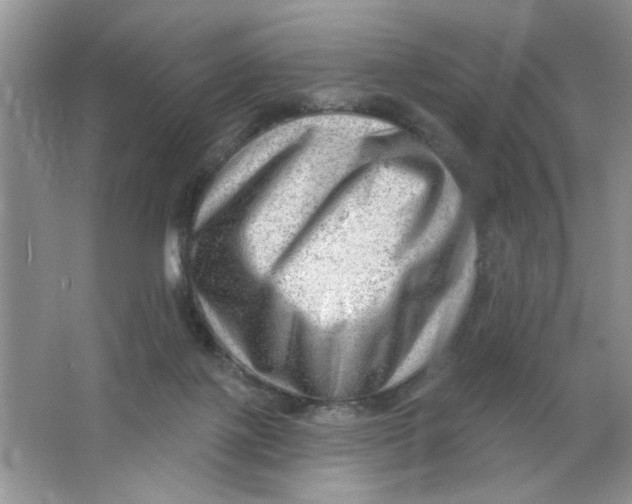 X0000063530075200602102028