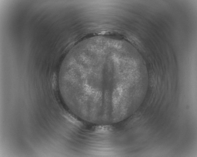 X0000063530077200602102028