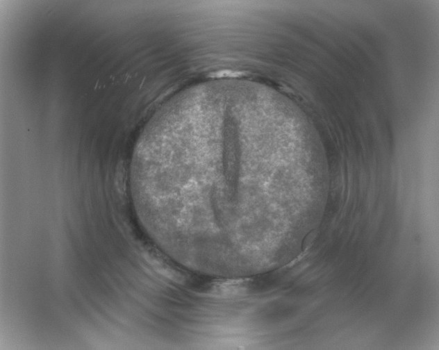 X0000063530078200602102028