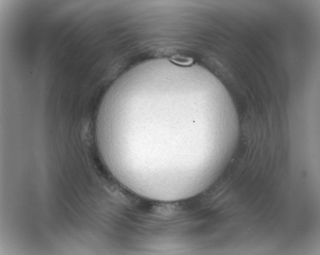 X0000063530079200602102028