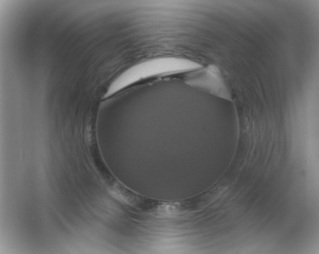 X0000063530080200602102028