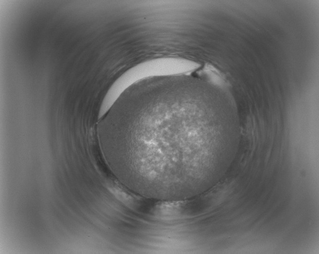 X0000063530084200602102028